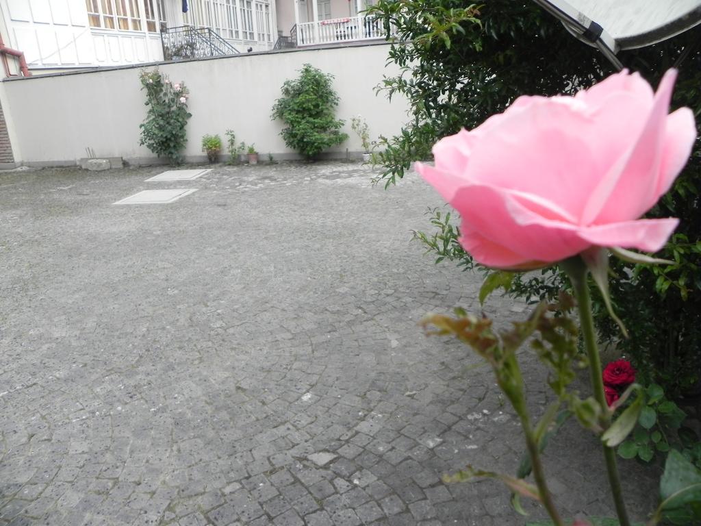 Old Yard Guest House Tbilisi Exteriör bild